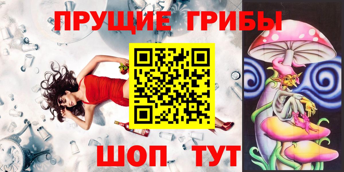 Псилоцибиновые грибы Magic Shrooms  Вход с VPN  Кизилюрт  Псилоцибиновые грибы GOLDEN TEACHER 
